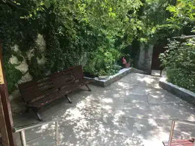 Кипарис - 3