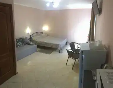 Кипарис - 18