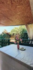 Остров сокровищ - 22