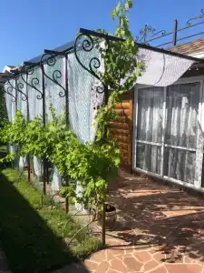 Царская усадьба - 16