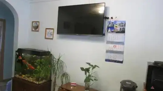 Золотая рыбка - 1