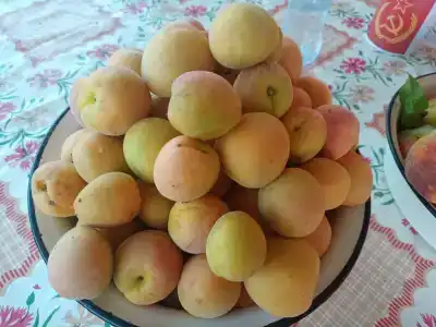 Сушите весла - 2