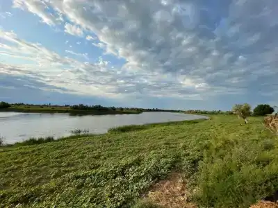 Сушите весла - 5