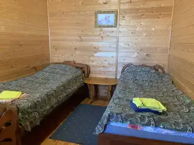 Волчица - 18