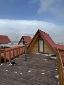 Дом с видом на горы Дагестана - 13