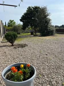 Family home - 23