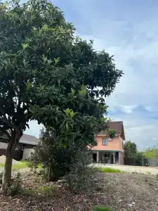 Family home - 3