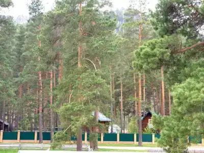 Берингия - 12