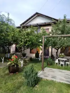 Vavilono - 0