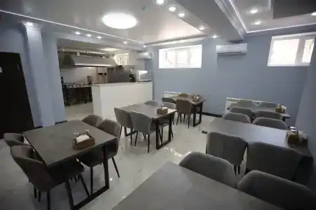 Феникс - 6