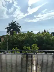 Центральный - 0