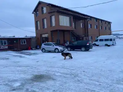 Стодорог - 2