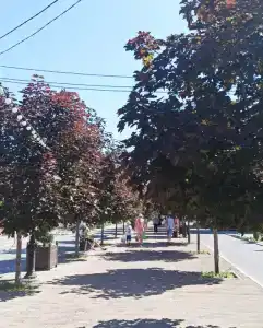 Гнездо - 3