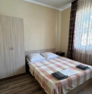 Золотой абрикос - 24