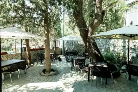 Олеиз - 20