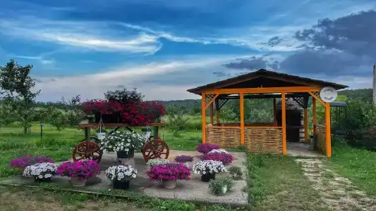 Ферма Подворье Лукино - 29