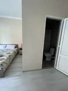 Золотой абрикос - 32