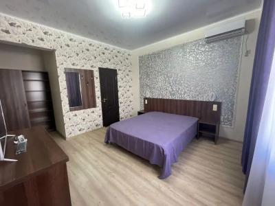 Багира - 20