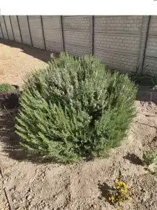 Гостевой дом Лазурное море (Azursea) - 3