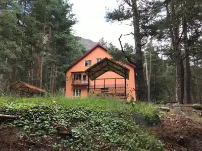 Метелица - 1
