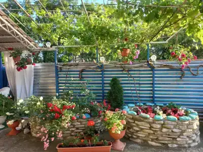 Нейва - 33