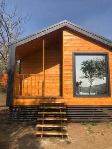 Амбассадор - 11