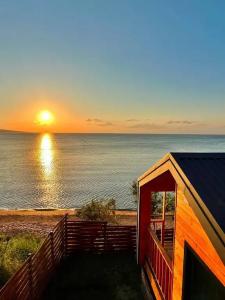 Амбассадор - 3