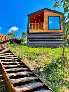 Амбассадор - 8