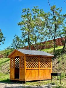 Амбассадор - 10