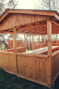 Амбассадор - 13