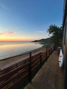 Амбассадор - 14