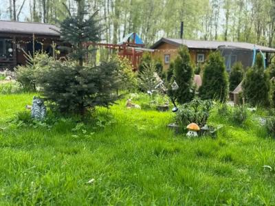 Рай в шалаше в Светлом - 25
