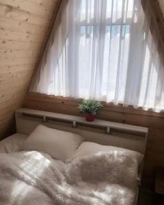 Рай в шалаше в Светлом - 132