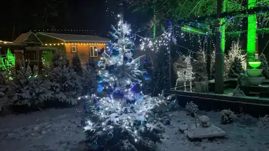 Рай в шалаше в Светлом - 149