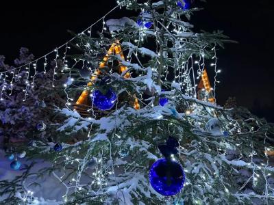 Рай в шалаше в Светлом - 147