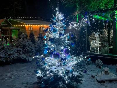 Рай в шалаше в Светлом - 174