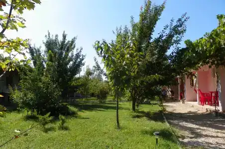 Эдельвейс - 3