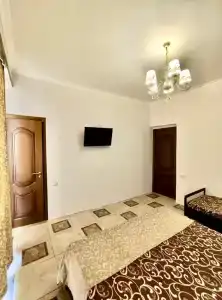 Астра - 7