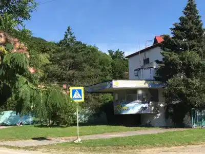 Астра - 11
