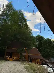 Маас - 52