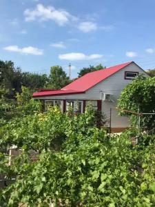 Домик у моря - 1