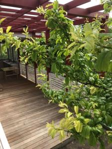 Домик у моря - 16