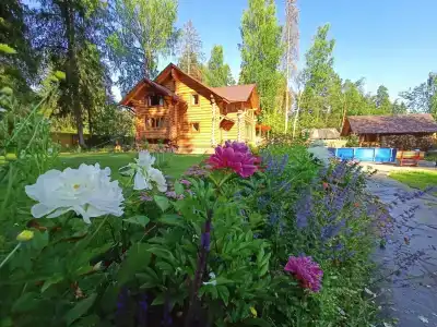 Вырицкий Мамонт - 1