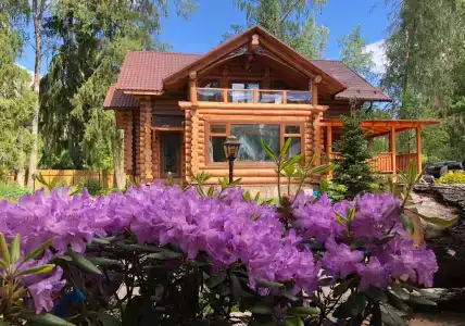 Вырицкий Мамонт - 4