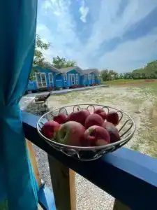 Бора Бора - 1