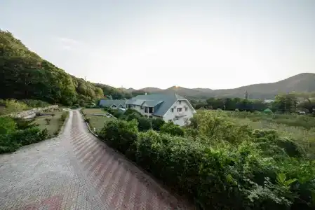 Отрада - 208