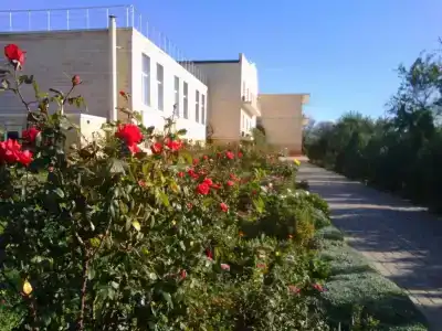 Виноградная лоза - 5