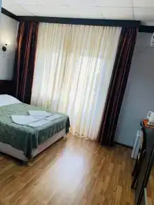 Виноградная лоза - 13