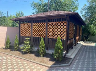 Дельфиниум - 9