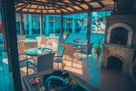 Дельфиниум - 12